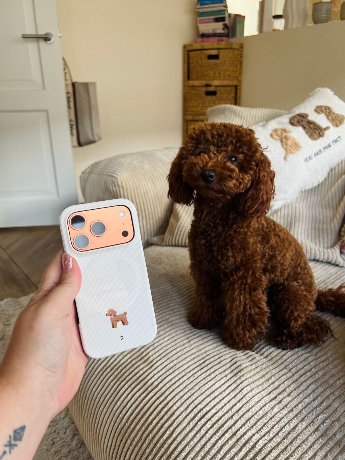 Poodle Love